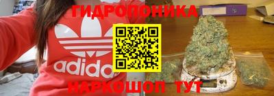 спайс Краснознаменск