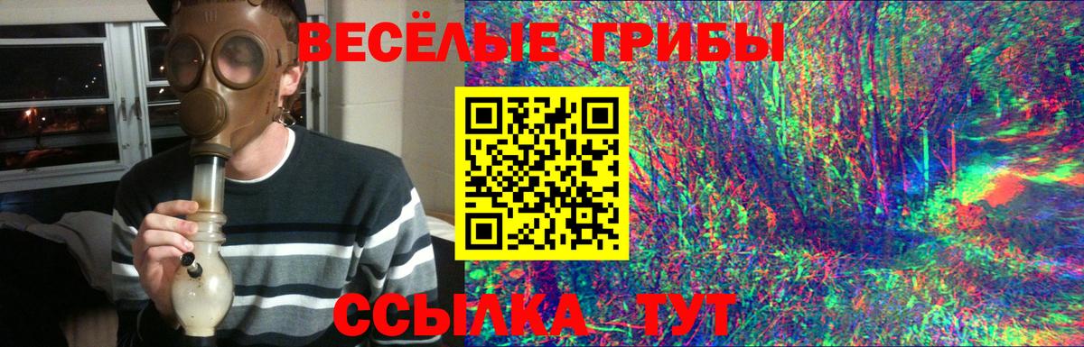 Воткинск  Псилоцибиновые грибы GOLDEN TEACHER  Вход с VPN  Псилоцибиновые грибы ЛСД 